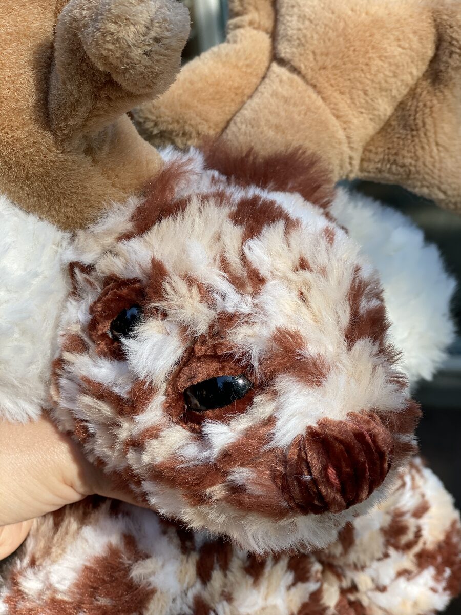 Extreme close-up of Ronan's spotted markings.