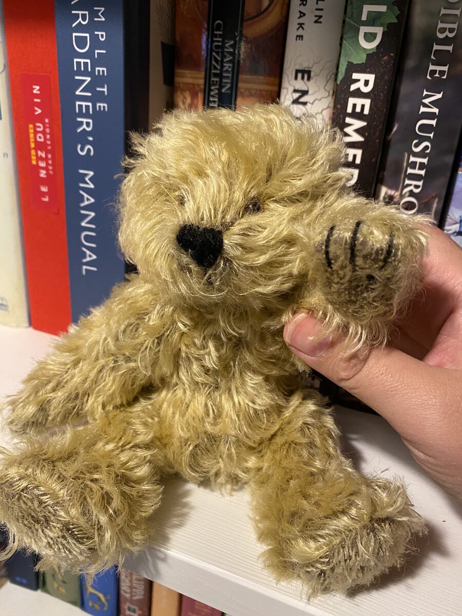 Scout the mohair bear being held for a portrait.