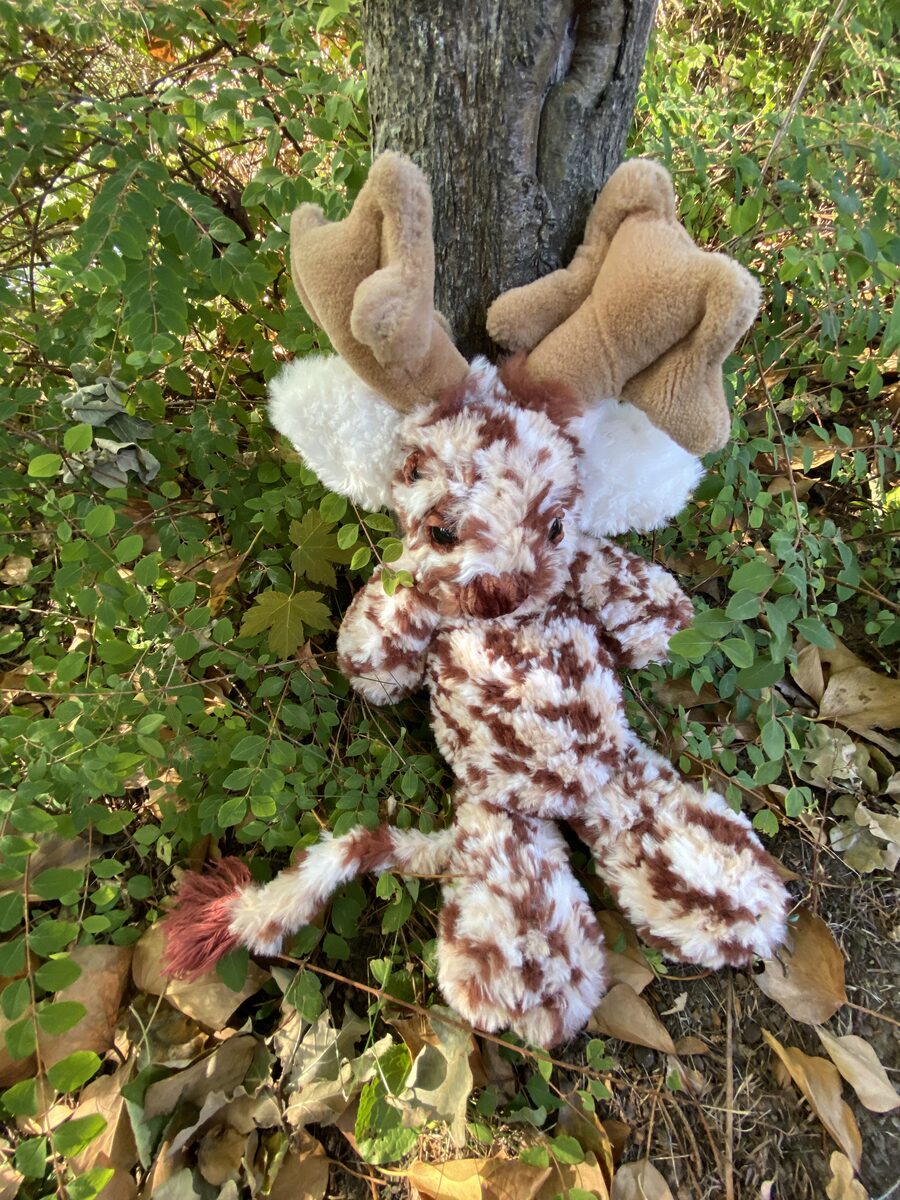 Ronan the deer spirit peeking through greenery.