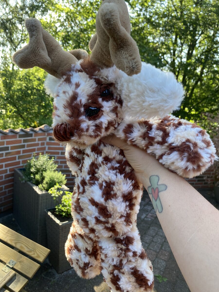 Ronan the deer spirit standing in the garden, spotted brown and white fur with soft antlers.